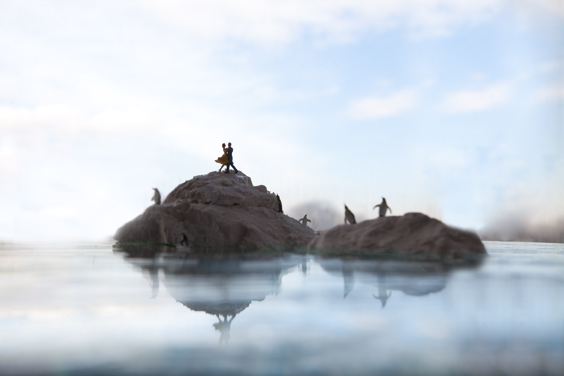 Adrien Broom, Waltz, 2012, digital C-type print, framed, 40 x 60 in, (6+2ap)