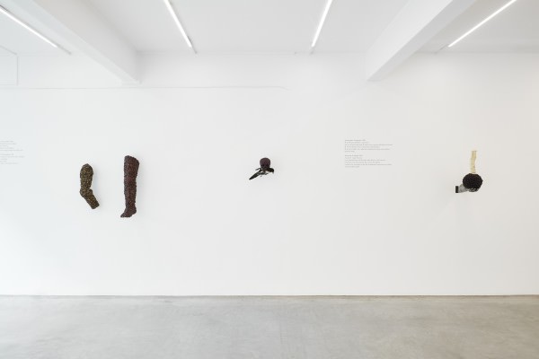 Ronchini_Jan_Fabre_002