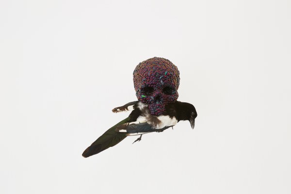 Ronchini_Jan_Fabre_003