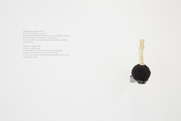 Ronchini_Jan_Fabre_004