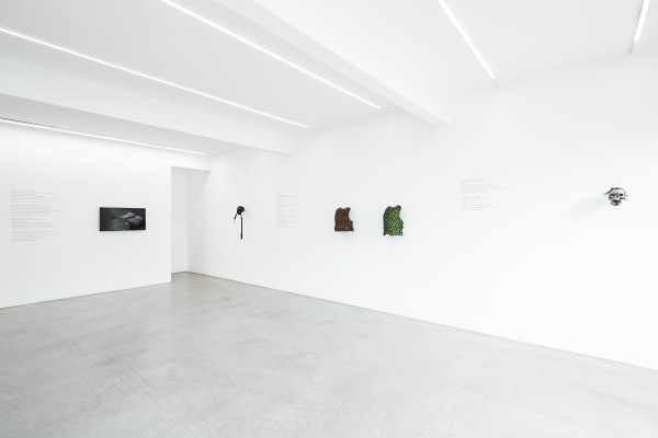 Ronchini_Jan_Fabre_006