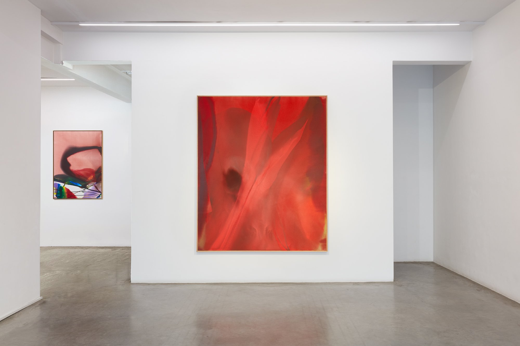 Paul Jenkins: Works on Canvas from the 1960s and 1970s - Ronchini