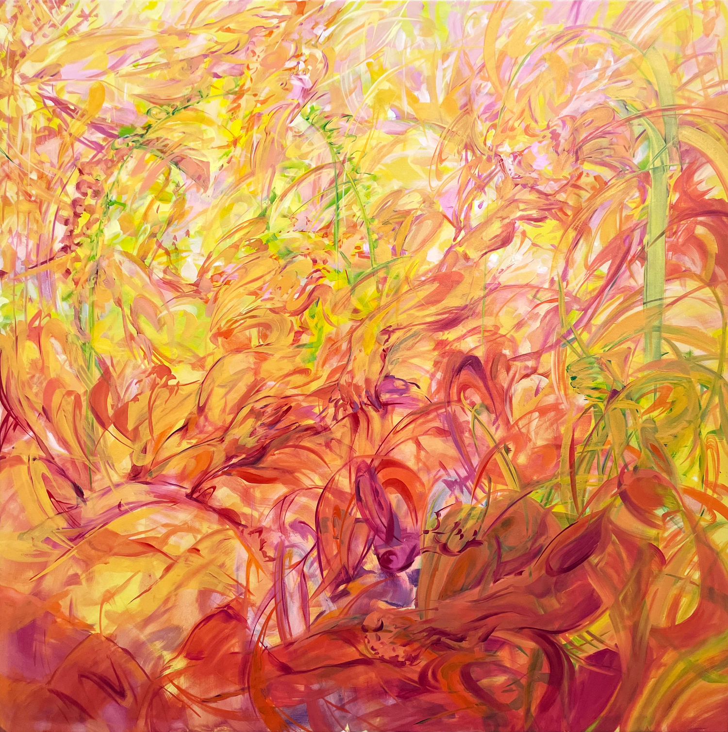 Julia Jo, In Bloom, 2022, oil on canvas, 60 x 60 in